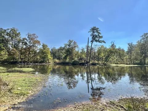 1 Evans Rd, Carthage, MS 39051 photo 63
