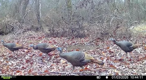 1 Evans Rd, Carthage, MS 39051 photo 141