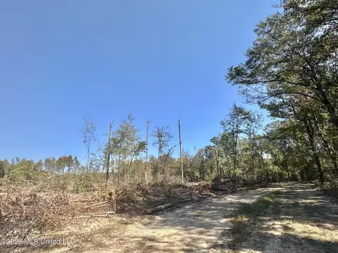 1 Evans Rd, Carthage, MS 39051 photo 60