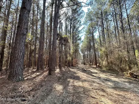 1 Evans Rd, Carthage, MS 39051 photo 37