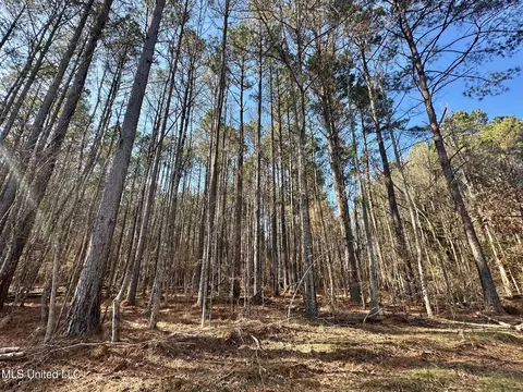 1 Evans Rd, Carthage, MS 39051 photo 124