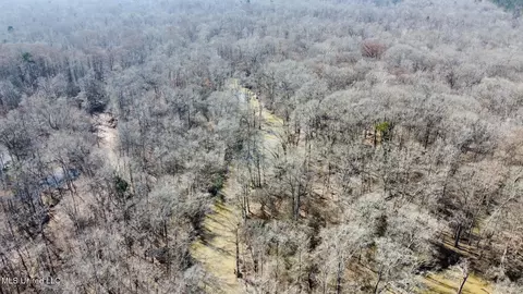 1 Evans Rd, Carthage, MS 39051 photo 71