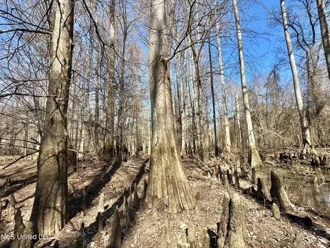 1 Evans Rd, Carthage, MS 39051 photo 60