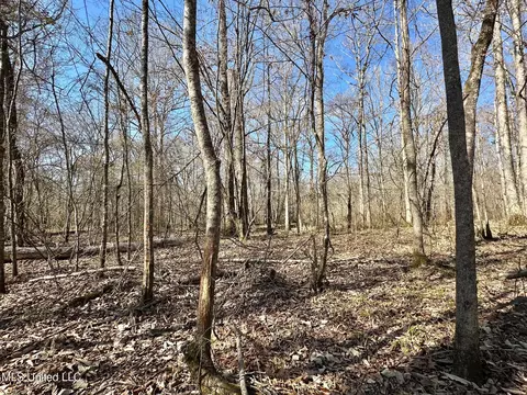1 Evans Rd, Carthage, MS 39051 photo 75