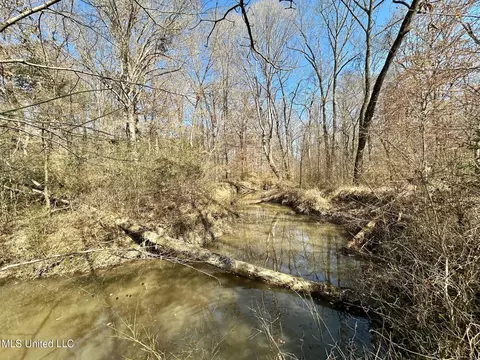 1 Evans Rd, Carthage, MS 39051 photo 32