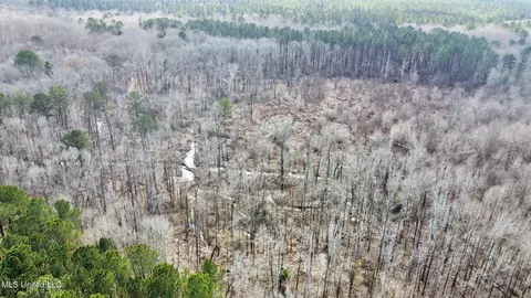 1 Evans Rd, Carthage, MS 39051 photo 15