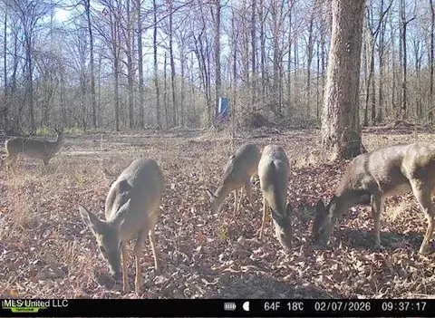 1 Evans Rd, Carthage, MS 39051 photo 155