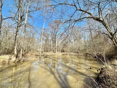1 Evans Rd, Carthage, MS 39051 photo 48