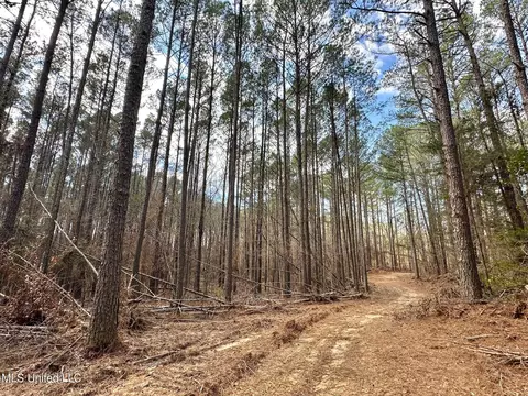 1 Evans Rd, Carthage, MS 39051 photo 8
