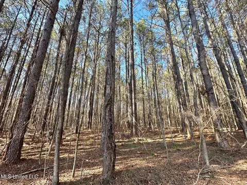 1 Evans Rd, Carthage, MS 39051 photo 125