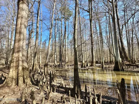 1 Evans Rd, Carthage, MS 39051 photo 59