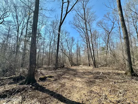 1 Evans Rd, Carthage, MS 39051 photo 53