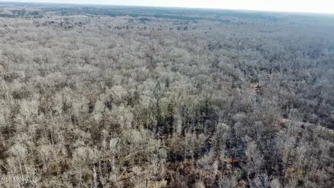 1 Evans Rd, Carthage, MS 39051 photo 121