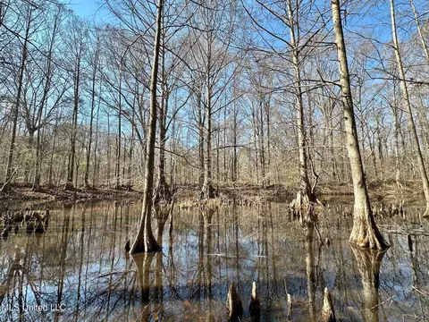 1 Evans Rd, Carthage, MS 39051 photo 31