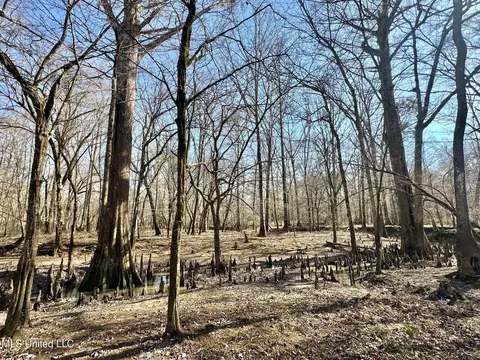 1 Evans Rd, Carthage, MS 39051 photo 107
