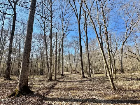1 Evans Rd, Carthage, MS 39051 photo 110