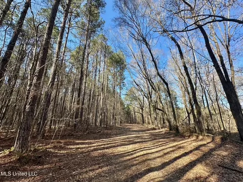 1 Evans Rd, Carthage, MS 39051 photo 127