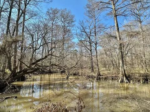 1 Evans Rd, Carthage, MS 39051 photo 43