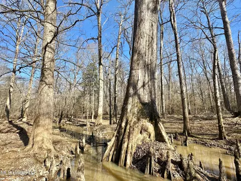 1 Evans Rd, Carthage, MS 39051 photo 106