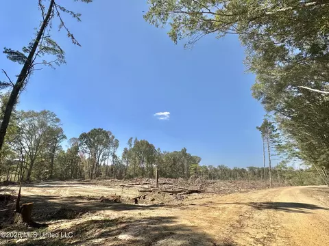 1 Evans Rd, Carthage, MS 39051 photo 81