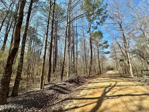 1 Evans Rd, Carthage, MS 39051 photo 33