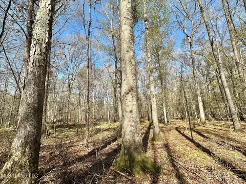 1 Evans Rd, Carthage, MS 39051 photo 39
