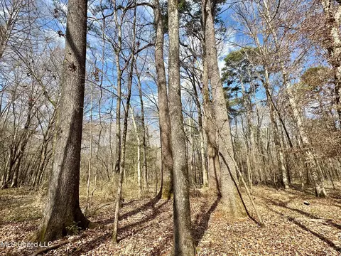 1 Evans Rd, Carthage, MS 39051 photo 10