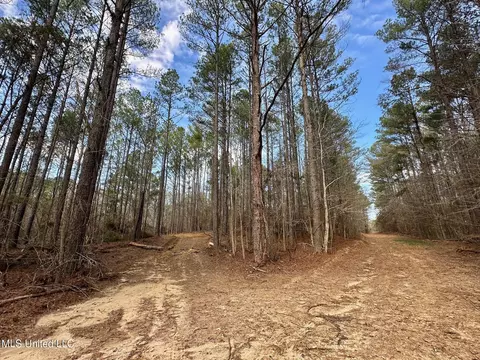 1 Evans Rd, Carthage, MS 39051 photo 7