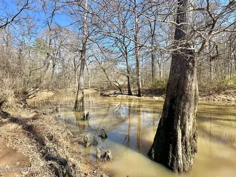 1 Evans Rd, Carthage, MS 39051 photo 104