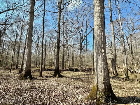 1 Evans Rd, Carthage, MS 39051 photo 51