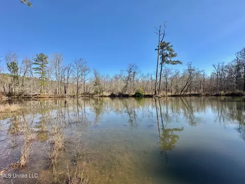 1 Evans Rd, Carthage, MS 39051 photo 129