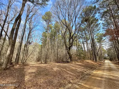 1 Evans Rd, Carthage, MS 39051 photo 5