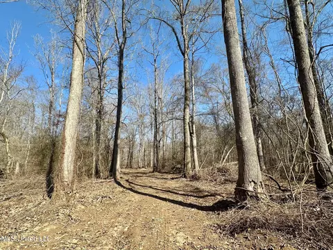 1 Evans Rd, Carthage, MS 39051 photo 42