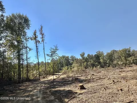 1 Evans Rd, Carthage, MS 39051 photo 66