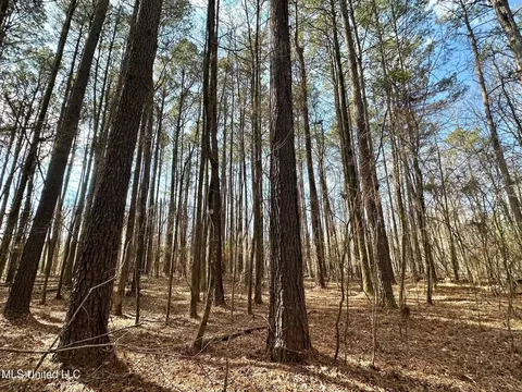 1 Evans Rd, Carthage, MS 39051 photo 24