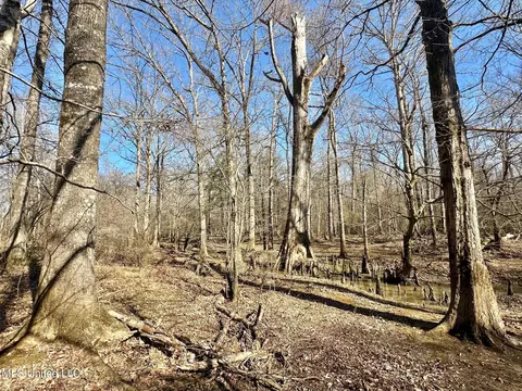 1 Evans Rd, Carthage, MS 39051 photo 105