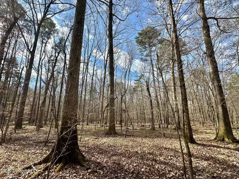 2 Evans Rd, Carthage, MS 39051 photo 6
