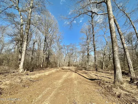 2 Evans Rd, Carthage, MS 39051 photo 17