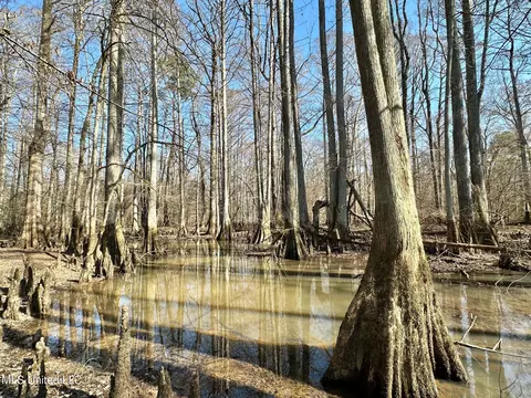 2 Evans Rd, Carthage, MS 39051 photo 12