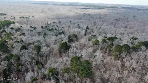 2 Evans Rd, Carthage, MS 39051 photo 10