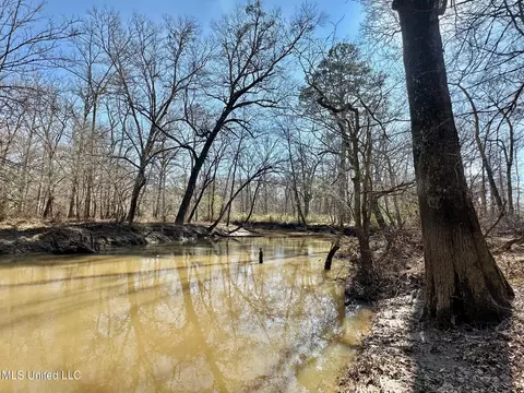 2 Evans Rd, Carthage, MS 39051 photo 23