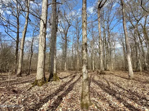2 Evans Rd, Carthage, MS 39051 photo 9