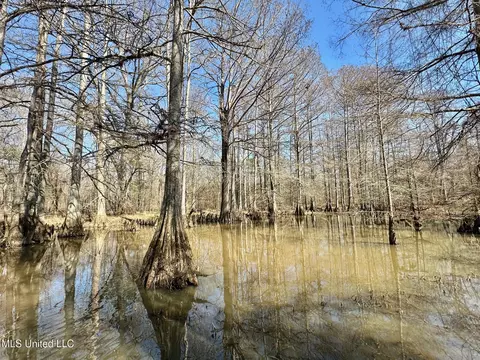 2 Evans Rd, Carthage, MS 39051 photo 13
