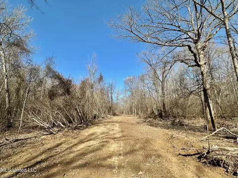 2 Evans Rd, Carthage, MS 39051 photo 20