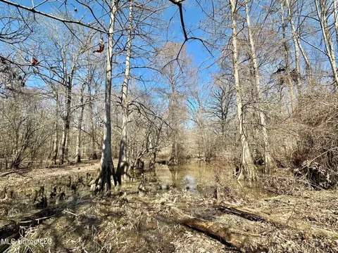 2 Evans Rd, Carthage, MS 39051 photo 18