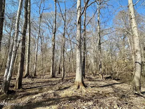 2 Evans Rd, Carthage, MS 39051 photo 21