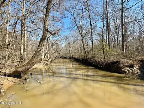 2 Evans Rd, Carthage, MS 39051 photo 19