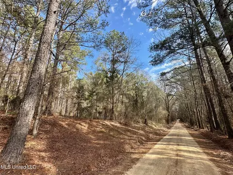 2 Evans Rd, Carthage, MS 39051 photo 5