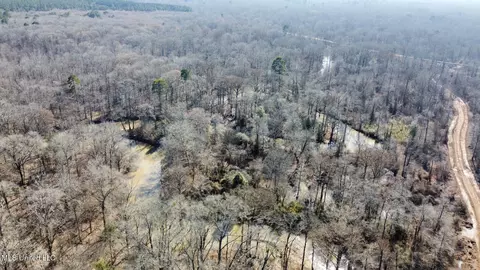 2 Evans Rd, Carthage, MS 39051 photo 30