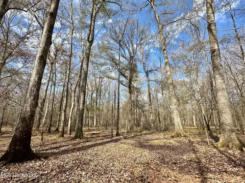 3 Evans Rd, Carthage, MS 39051